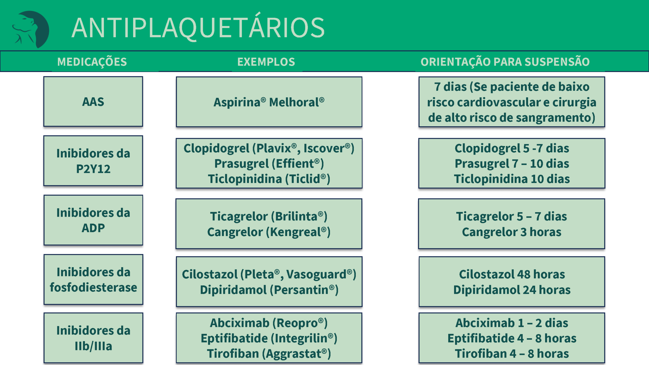 suspensao-preoperatoria_guia_Página_02_Imagem_0017_Página_02